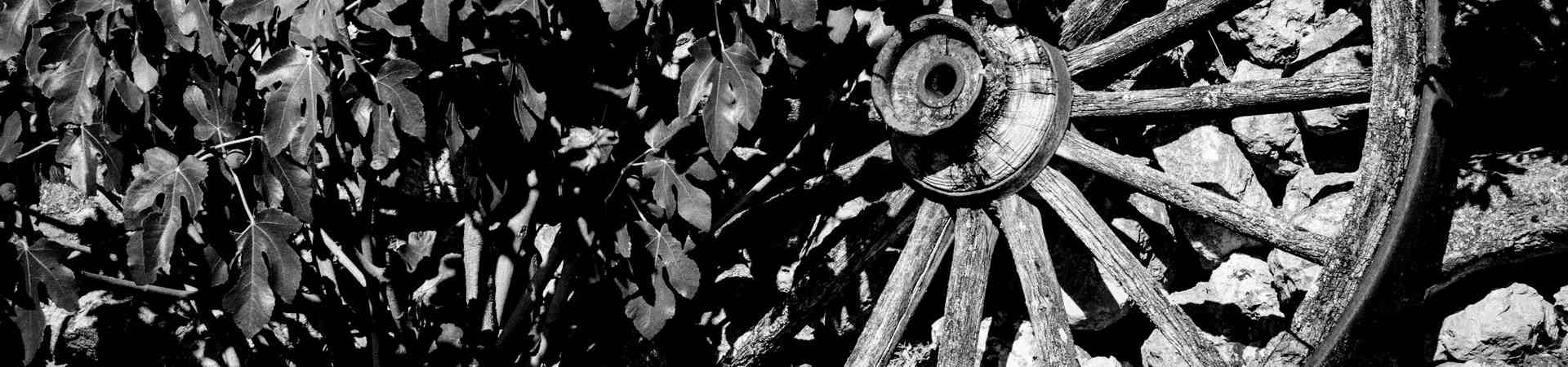 Fotografía de una rueda de madera en blanco y negro